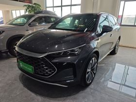 比亚迪 唐新能源 2022款 DM-p 215KM 四驱旗舰型