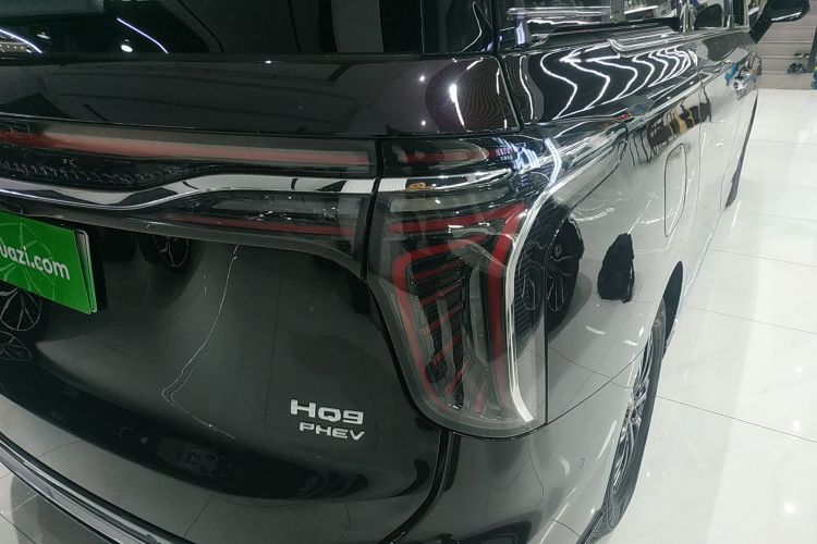 红旗HQ9 PHEV 2024款 2.0T 四驱豪华版车身外观6006
