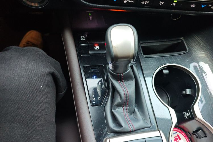 雷克萨斯RX 2020款 300 四驱典雅版 国VI中控内饰18