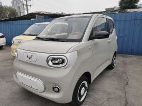 五菱汽车 宏光MINIEV 2024款 第三代 215km 青春版