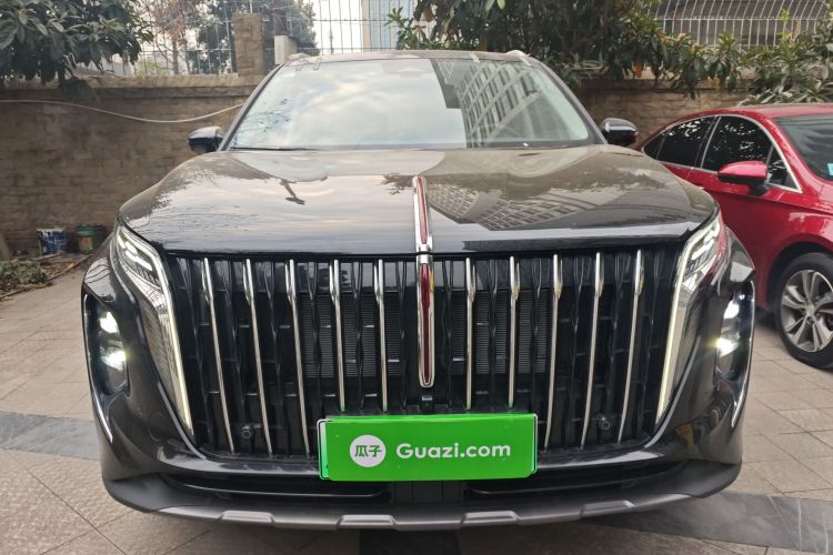 红旗HS7 PHEV 2025款 2.0T PHEV 四驱200万辆纪念版 6座车身外观6001