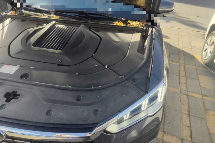 比亚迪 宋Pro新能源 2019款 EV 高功率高续航版旗舰型局部细节9007