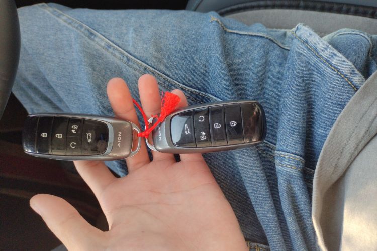 埃安 AION Y 2023款 Plus 610 智领版 三元锂中控内饰11