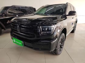 坦克500新能源 2024款 Hi4-T 黑武士版