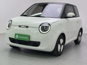 长安启源 长安Lumin 2022款 210km 香甜款