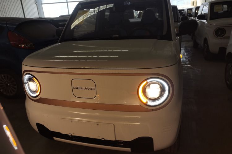 吉利银河 2024款 熊猫mini 200km 耐力熊车身外观2