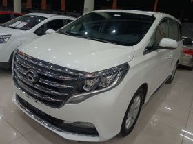 广汽传祺 传祺M8 2018款 320T 尊享版