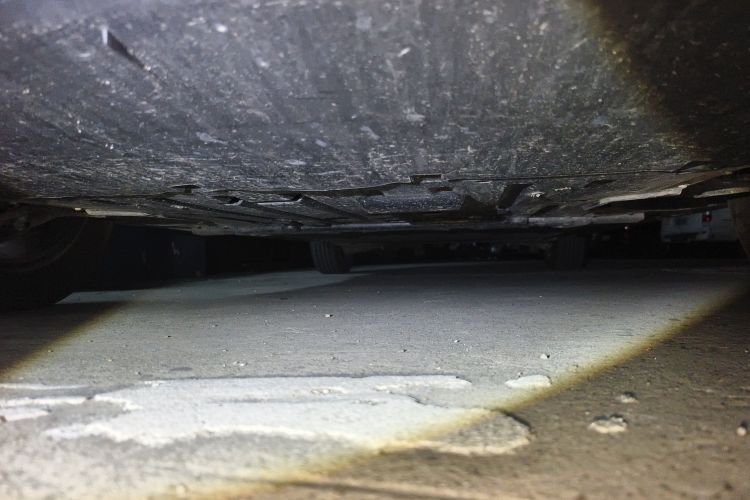 比亚迪 海豚 2025款 420km 自由版局部细节9008