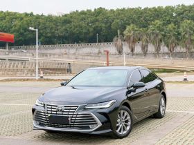 丰田 亚洲龙 2024款 2.0L 进取版