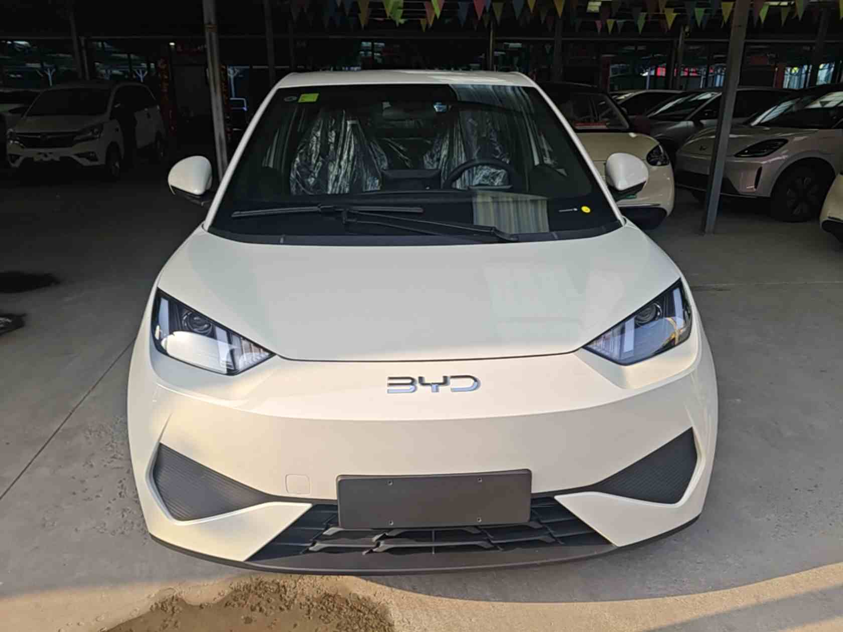 比亚迪 海鸥 2025款 智驾版 305km 活力版(1)