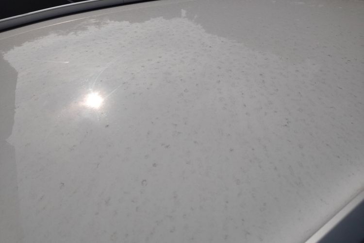 吉利几何E萤火虫 2024款 301km 星光局部细节57