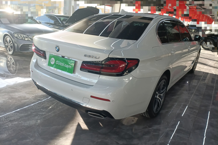 宝马5系 2023款 530Li 领先型 豪华套装车身外观6005
