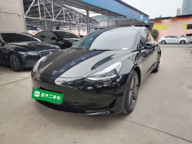 特斯拉 Model 3 2020款 改款 标准续航后驱升级版