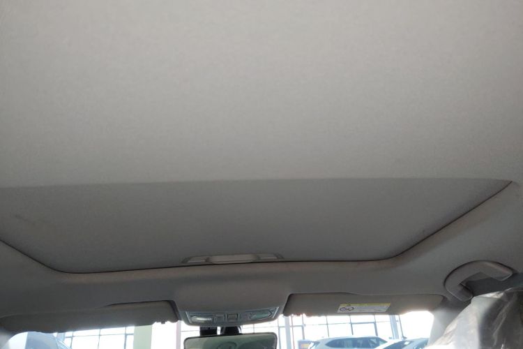 大众 朗逸 2023款 1.5L 自动星空五百万版局部细节22