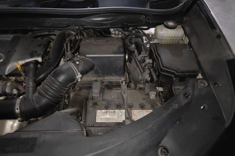 雷克萨斯RX 2016款 300 两驱精英版 国V局部细节9007