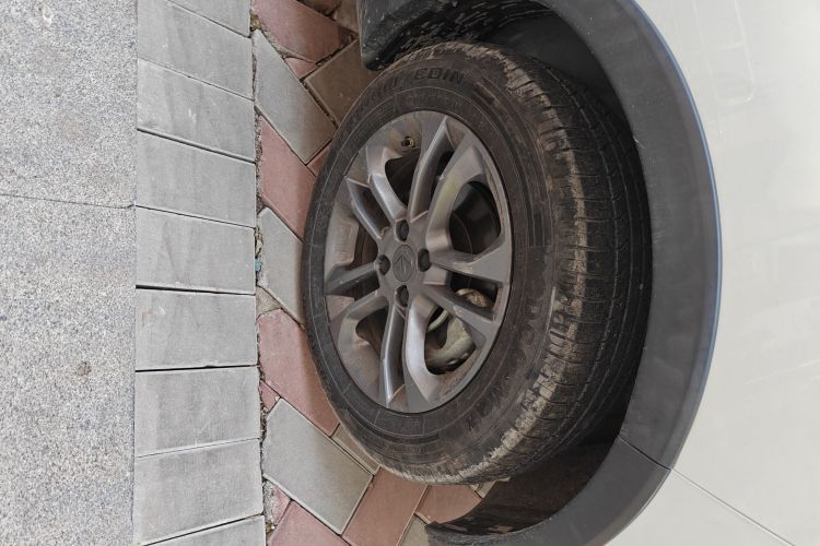 睿蓝汽车 枫叶30X 2020款 智行版车身外观10