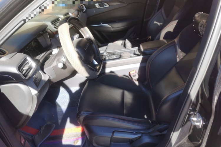 领克03 2019款 1.5TD DCT劲版 国VI局部细节19