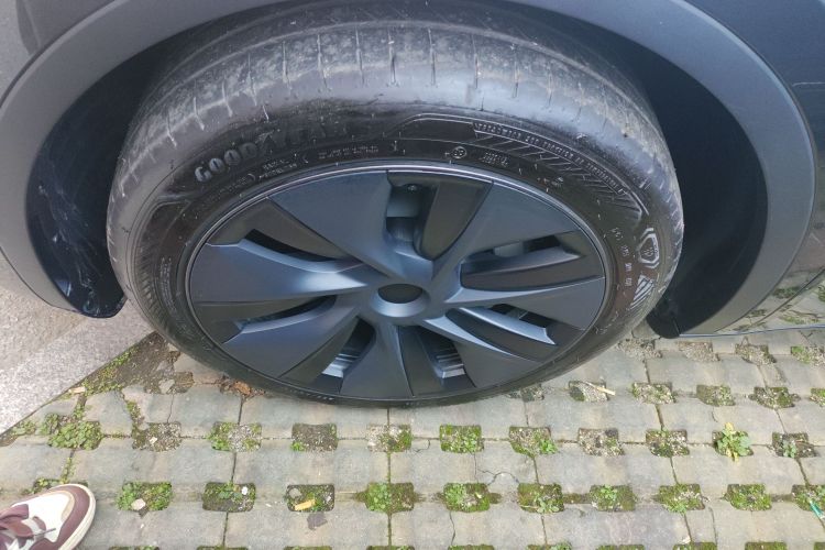 特斯拉 Model Y 2024款 后轮驱动版车身外观6007