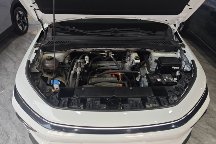 睿蓝汽车 睿蓝7 2024款 605km 荣耀版局部细节24