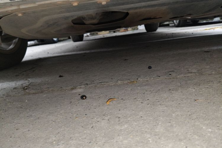 日产 轩逸 2012款 1.6XL CVT豪华版局部细节9008