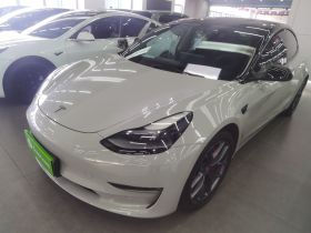 特斯拉 Model 3 2021款 Performance高性能全轮驱动版 3D6