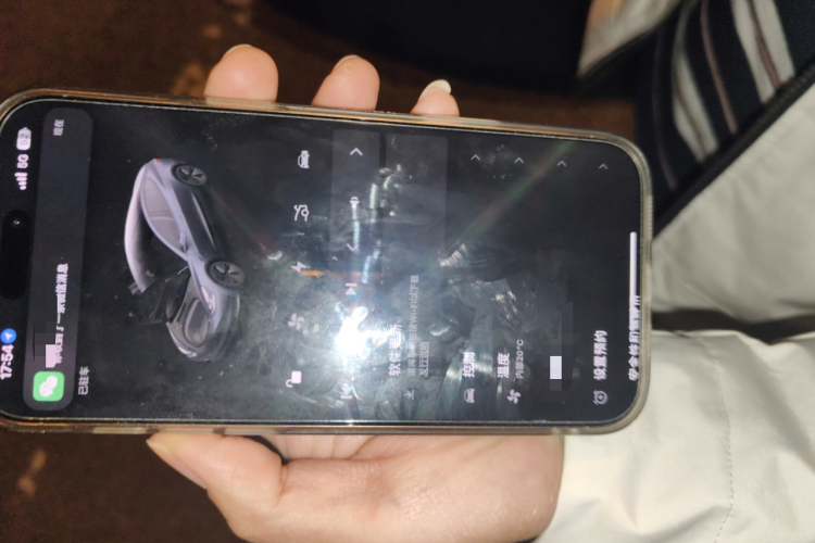 特斯拉 Model 3 2022款 后轮驱动版中控内饰7001