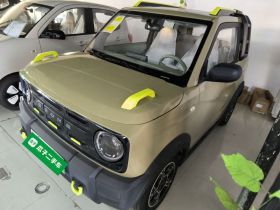 吉利银河 2025款 210km 熊猫骑士