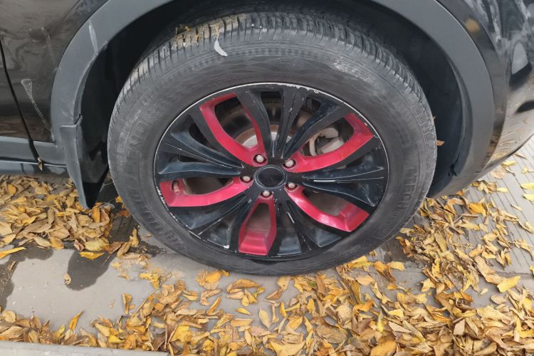 陆风X7 2015款 2.0T 全景尊贵版车身外观10