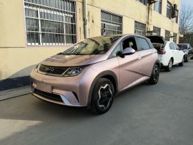 比亚迪 海豚 2021款 405km 时尚版