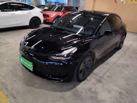 特斯拉 Model 3 2022款 后轮驱动版