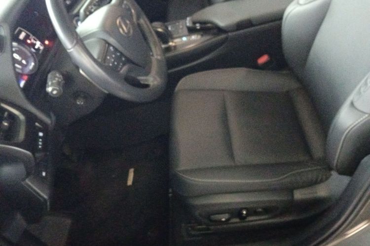 雷克萨斯UX新能源 2020款 300e 纯·悦版中控内饰19