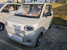 五菱汽车 宏光MINIEV 2024款 第三代 215km 青春版