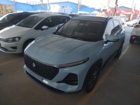 宝骏RS-3 2020款 1.5L 手动24小时在线豪华型