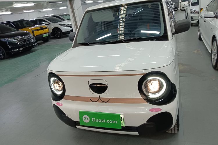 吉利银河 2024款 熊猫mini 200km 龙腾PRO版车身外观2