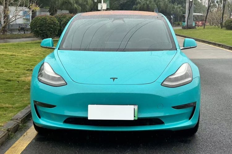 特斯拉 Model 3(进口) 2019款 长续航后驱版车身外观2