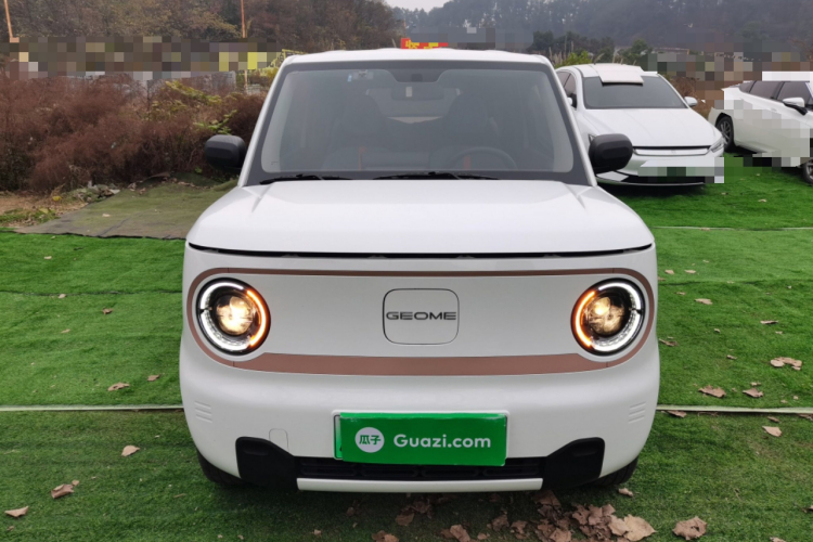 吉利银河 2024款 熊猫mini 200km 耐力熊车身外观2