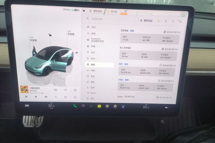特斯拉 Model Y 2021款 Performance高性能全轮驱动版中控内饰14