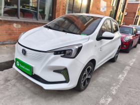 长安欧尚 奔奔E-Star 2020款 心动版 三元锂