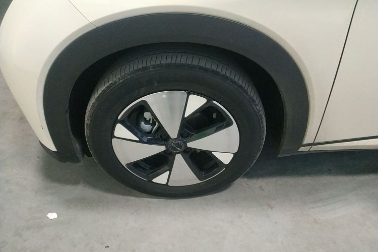 比亚迪 海豚 2023款 420km 时尚版车身外观6007