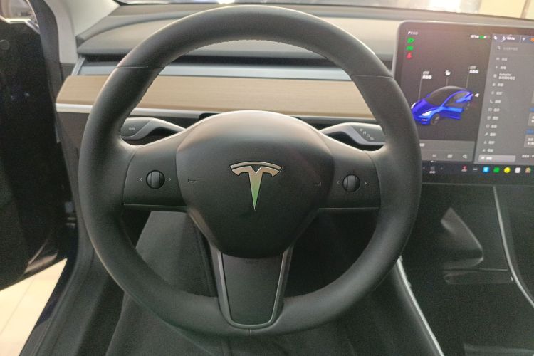 特斯拉 Model 3(进口) 2019款 长续航全轮驱动版局部细节13