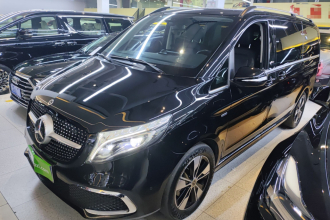 奔驰V级 2021款 V 260 尊贵版