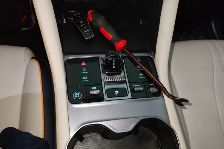 比亚迪 宋PLUS新能源 2023款 冠军版 EV 520KM 尊贵型局部细节18