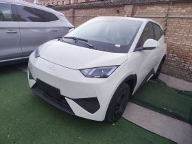 比亚迪 海鸥 2025款 智驾版 305km 活力版