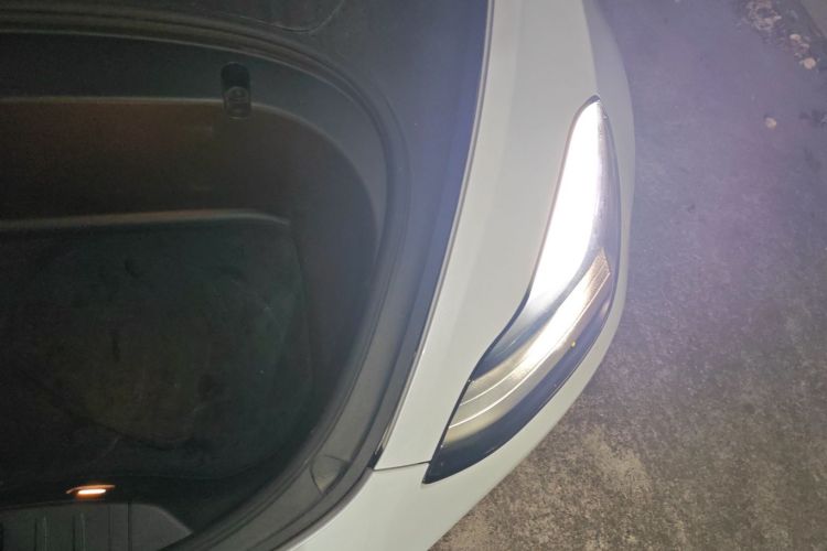 特斯拉 Model 3 2020款 改款 标准续航后驱升级版局部细节9007