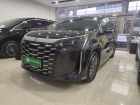 比亚迪 夏 2025款 DM-i 1.5T 180km 卓越型