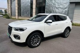 哈弗H6 2020款 1.5GDIT 自动铂金豪华版