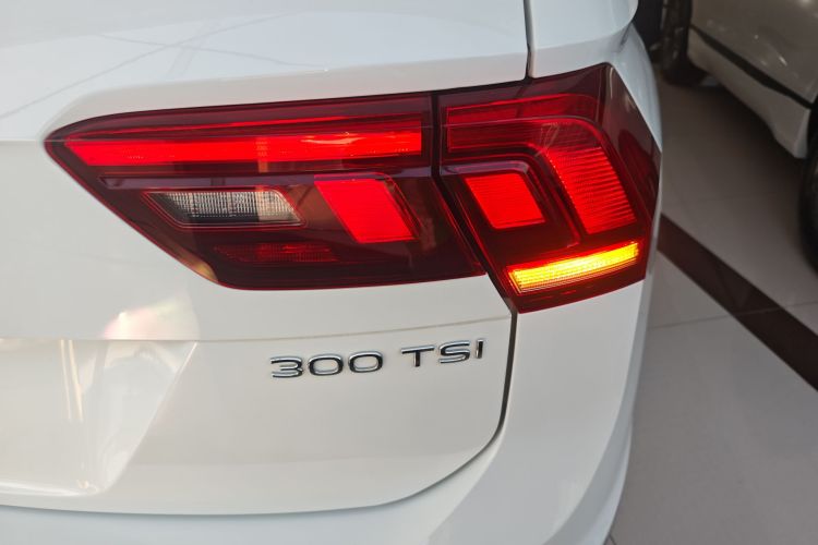 大众 途观L 2024款 300TSI 自动两驱智享版车身外观9