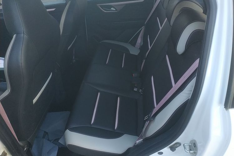 思皓 2022款 花仙子款 四叶草中控内饰21