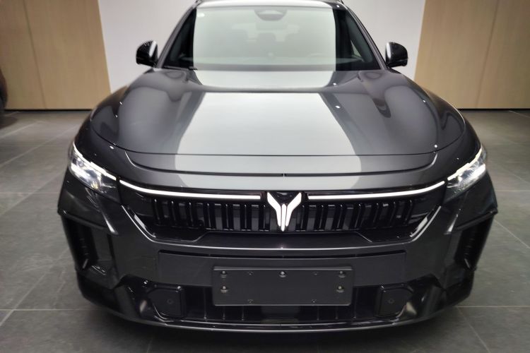 岚图汽车 岚图FREE 2025款 318 318km 后驱环游版车身外观6001