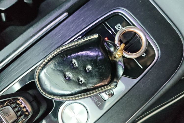 广汽传祺 传祺GS8 2022款 领航系列 2.0TGDI 两驱豪华智联版（七座）中控内饰11